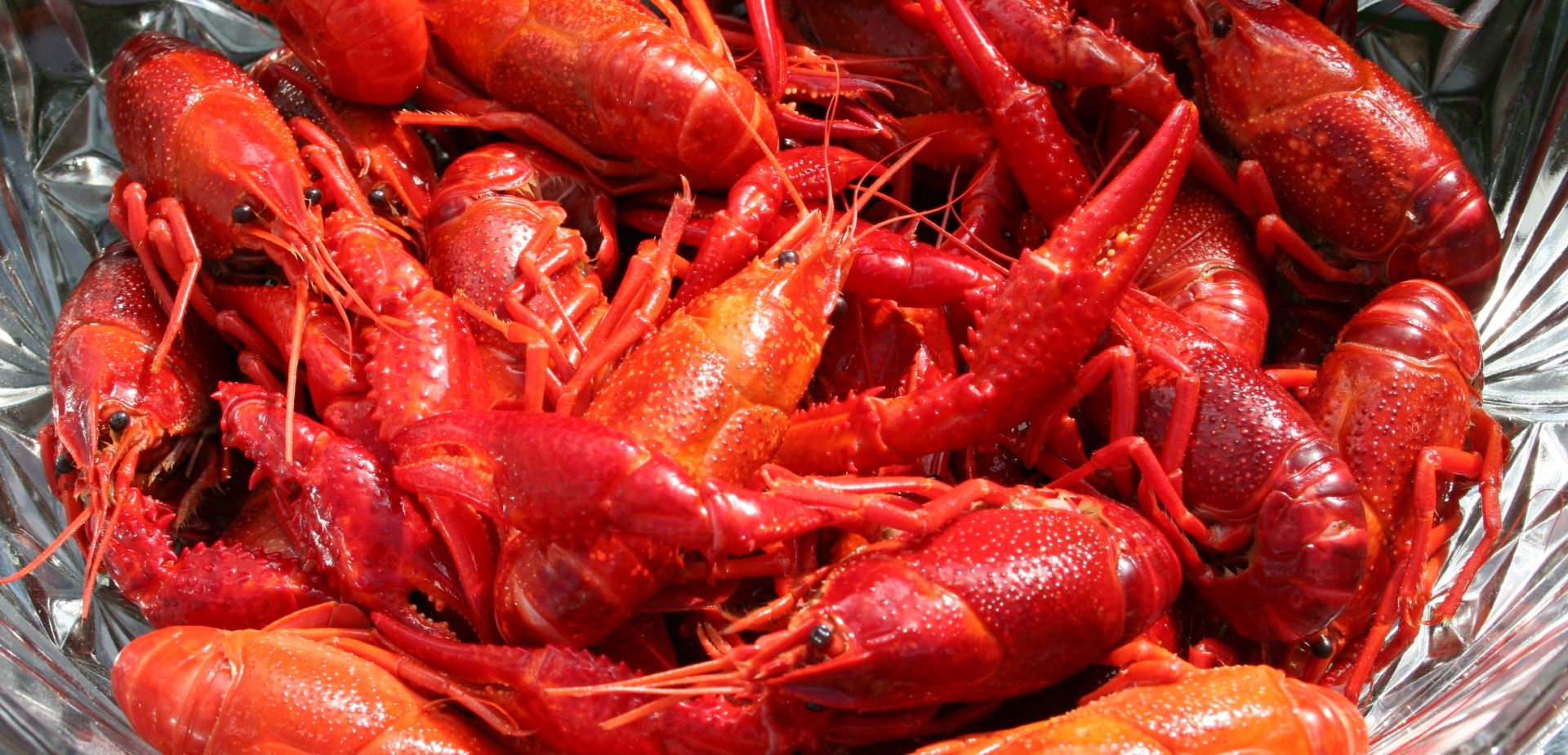 All products at IExport Afrique Ltd are locally sourced in commercial quantities from regions around Nigeria and the entire African Continent.